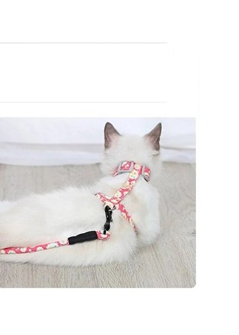 Kedi gezdirme Göğüs Tasması - Görsel 3