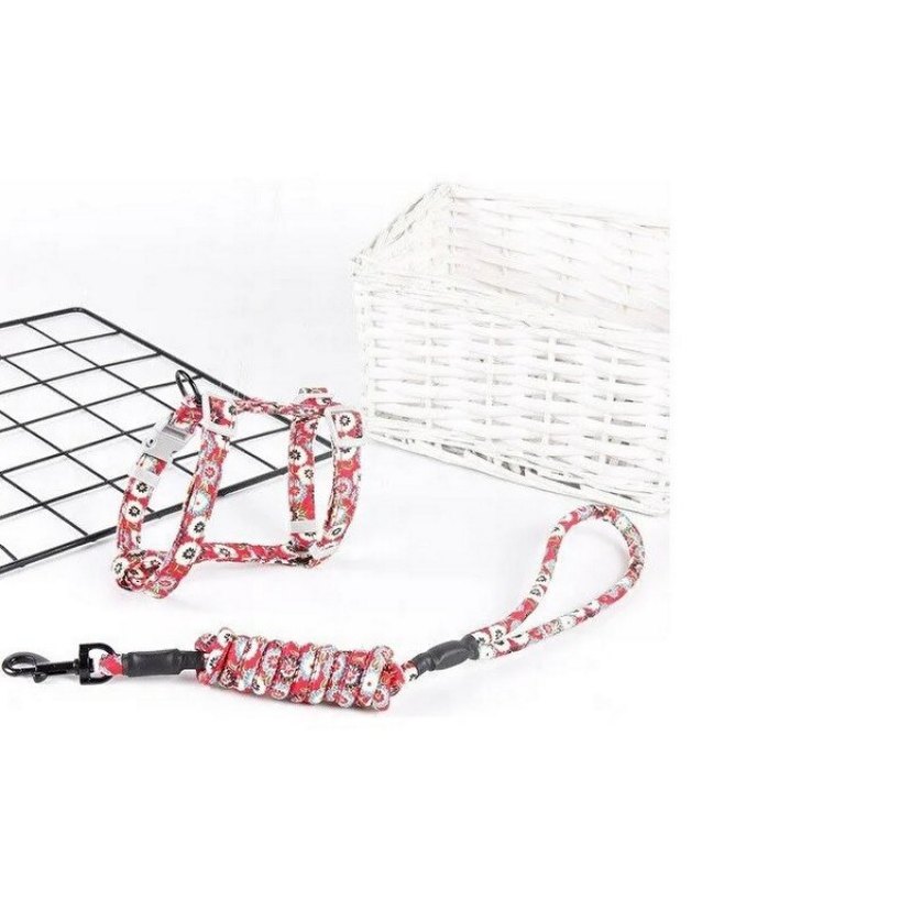 Kedi gezdirme Göğüs Tasması - Görsel 2