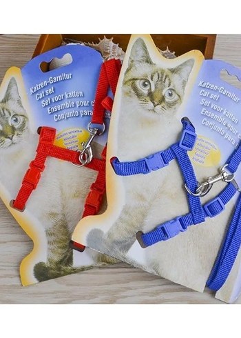 Kedi Göğüs Tasması ve Gezdirme Kayışı - Görsel 2