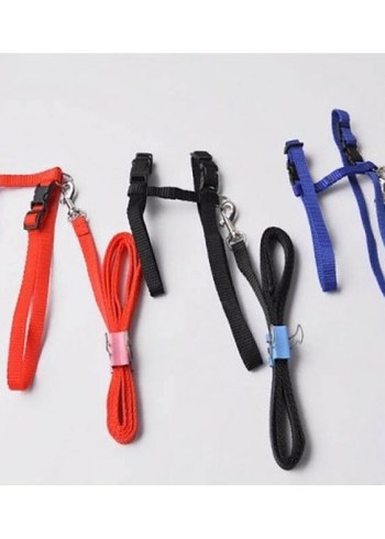 Kedi Göğüs Tasması ve Gezdirme Kayışı - Görsel 4