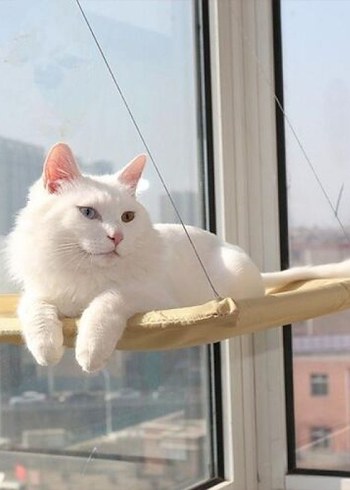 Pencere Kenarı Kedi Yatağı - Görsel 3