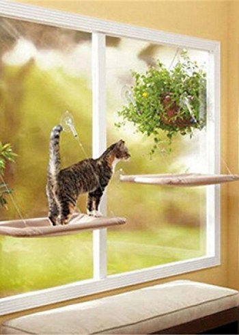 Pencere Kenarı Kedi Yatağı - Görsel 4