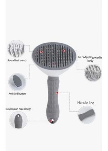 Gri Kedi Tarağı - Görsel 4