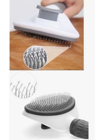 Gri Kedi Tarağı - Görsel 5