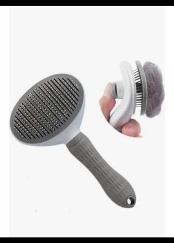 Gri Kedi Tarağı - Görsel 2