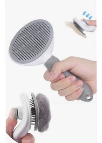 Gri Kedi Tarağı - Görsel 6