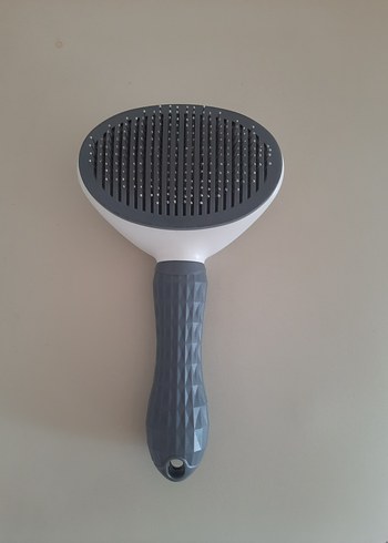 Gri Kedi Tarağı - Görsel 7