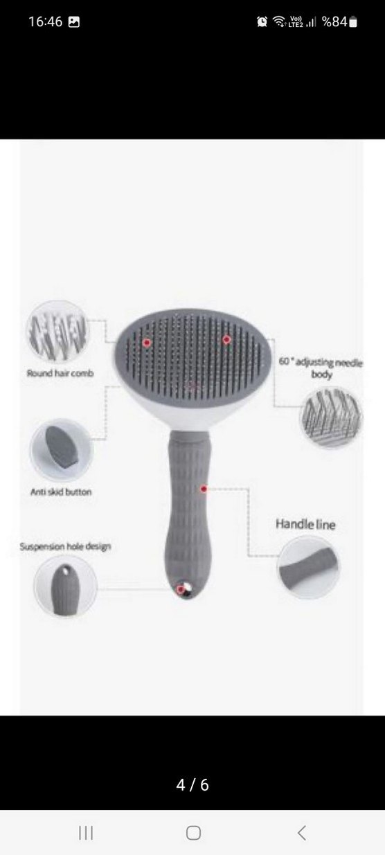 Gri Kedi  Tarağı - Görsel 4