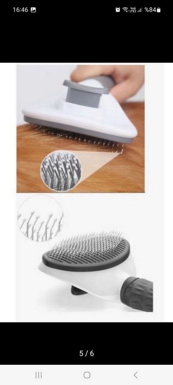 Gri Kedi  Tarağı - Görsel 5