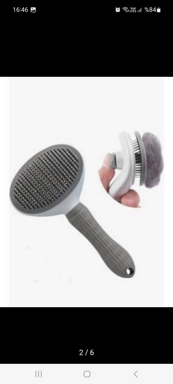 Gri Kedi  Tarağı - Görsel 2