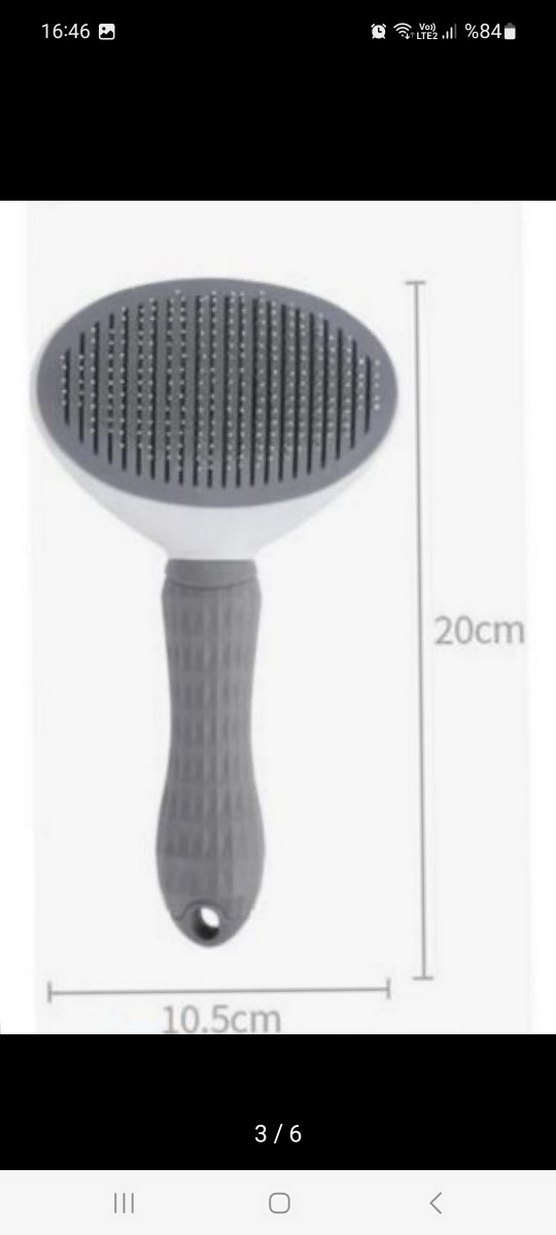 Gri Kedi  Tarağı - Görsel 3