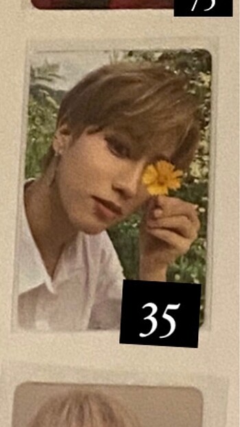 Jisung Pc