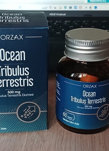 Ocean Tribulus terrestris
