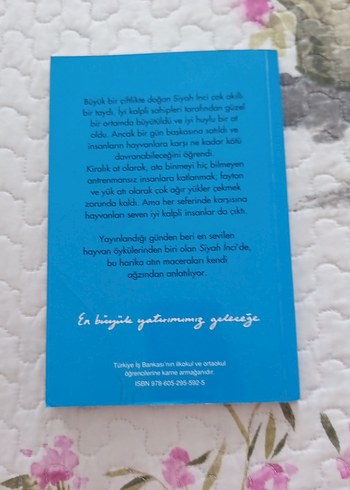 Anna Sewell - Siyah İnci & Satranç Kitapları - Görsel 3