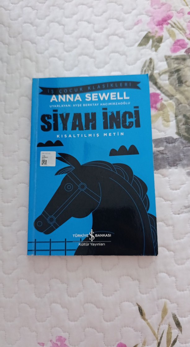 Anna Sewell - Siyah İnci & Satranç Kitapları - Görsel 2