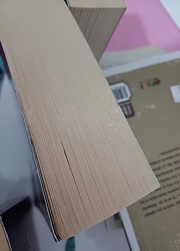 Binnur Şafak Nigiz Tek kitap ilanı