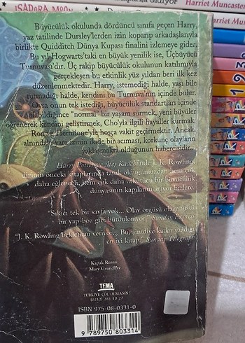 Harry Potter ve Ateş Kadehi - Çevirmenli - Görsel 2