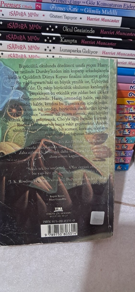 Harry Potter ve Ateş Kadehi - Çevirmenli - Görsel 2