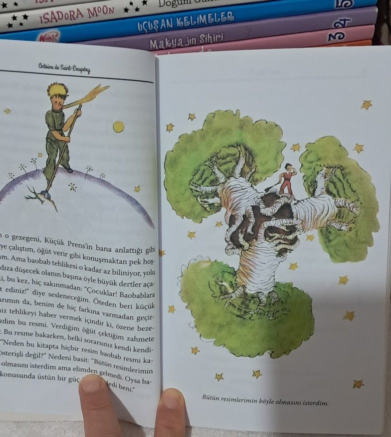 Küçük Prens - Antoine de Saint-Exupéry - Görsel 2