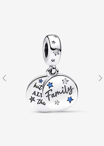 AİLE SEVGİSİ SALLANTILI CHARM