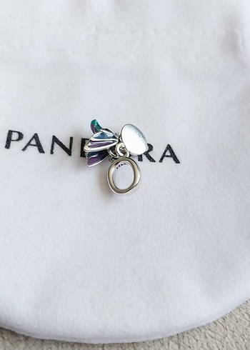 Beden turkuaz Renk SİNEKKUŞU ÇİFT SALLANTILI CHARM