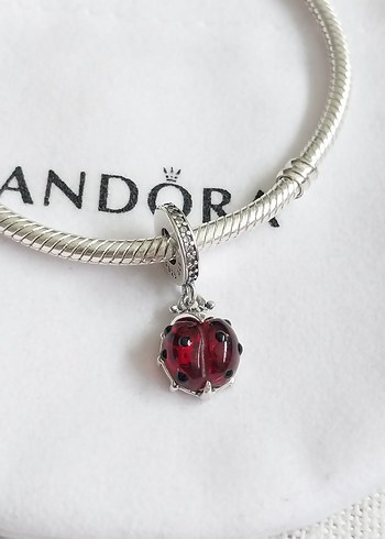 Beden KIRMIZI UĞUR BÖCEĞİ SALLANTILI CHARM