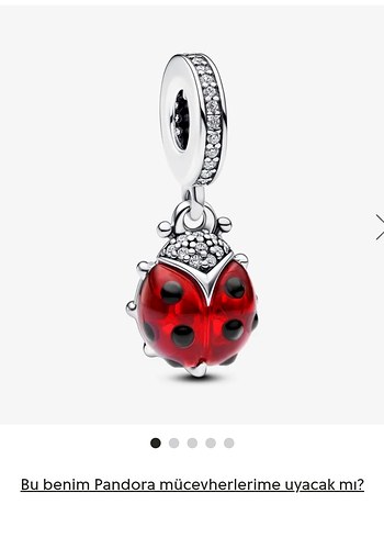 KIRMIZI UĞUR BÖCEĞİ SALLANTILI CHARM