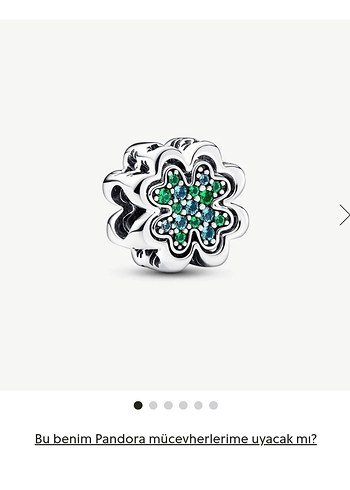 AYRILABİLİR DÖRT YAPRAKLI YONCA CHARM