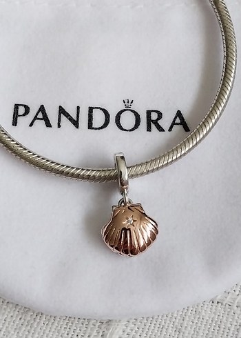  Beden çeşitli Renk İNCİLİ İSTİRİDYE KABUĞU SALLANTILI CHARM