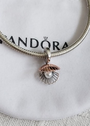  Beden İNCİLİ İSTİRİDYE KABUĞU SALLANTILI CHARM