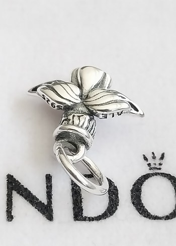 Beden gri Renk Işıltılı Melek Sallantılı Charm