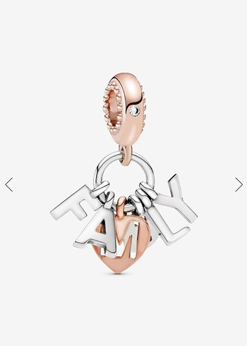 MÜKEMMEL AİLE SALLANTILI CHARM