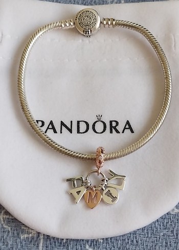 AİLE MEKTUPLARI SALLANTILI CHARM - Görsel 6