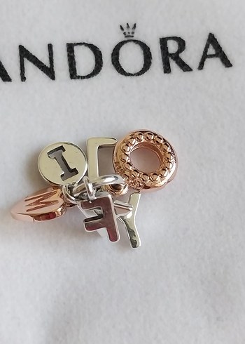 AİLE MEKTUPLARI SALLANTILI CHARM - Görsel 4