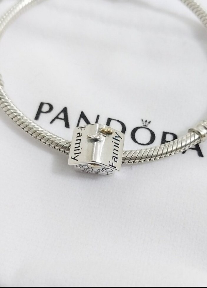 FAMİLY EV VE KIZ ÇOCUK CHARM - Görsel 4