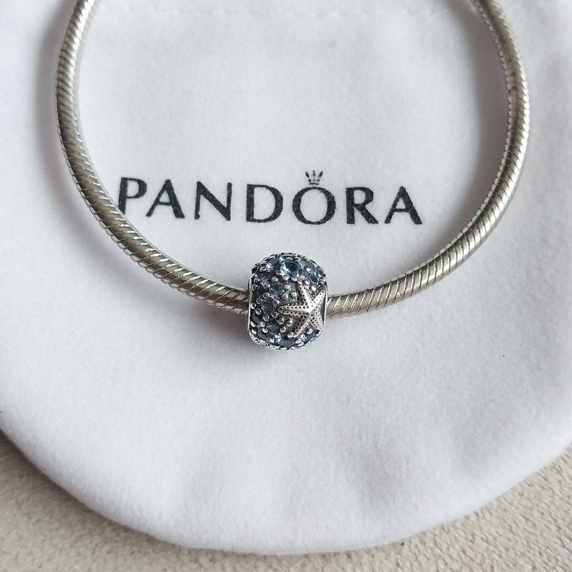 DENİZ YILDIZI VE OKYANUS CHARM - Görsel 3