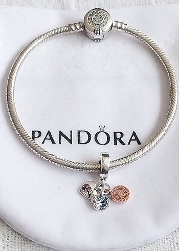 İki Renkli Gökkuşağı Kalp, Kelebek ve Barış Charm - Görsel 5