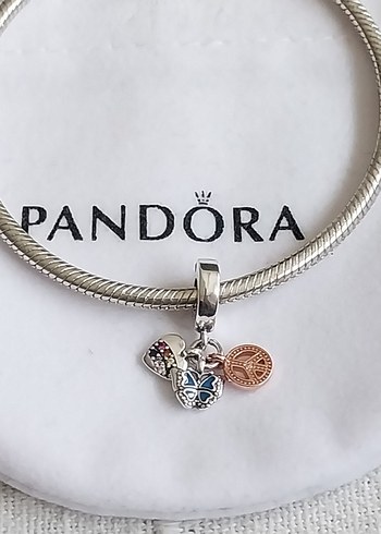 İki Renkli Gökkuşağı Kalp, Kelebek ve Barış Charm - Görsel 4