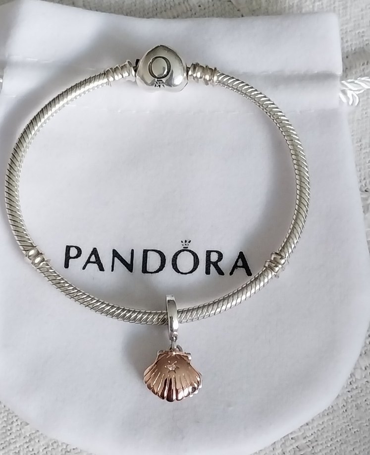 İNCİLİ İSTİRİDYE KABUĞU SALLANTILI CHARM - Görsel 5