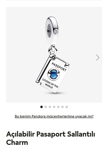 Pandora Açılabilir Pasaport Sallantılı Charm