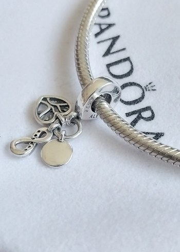 Sonsuz Aile Sevgisi Üçlü Sallantılı Charm - Görsel 4