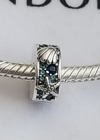 Tropikal Deniz Yıldızı ve Deniz Kabuğu Klips Charm - Görsel 3