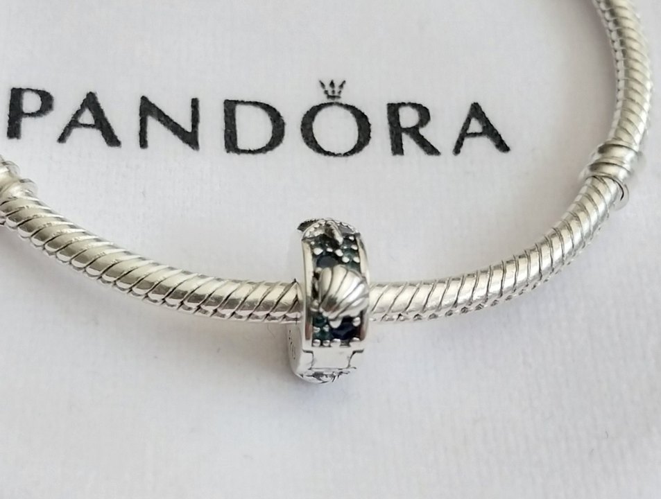 Tropikal Deniz Yıldızı ve Deniz Kabuğu Klips Charm - Görsel 4