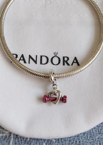 DAMBIL VE KALP SALLANTILI CHARM - Görsel 2