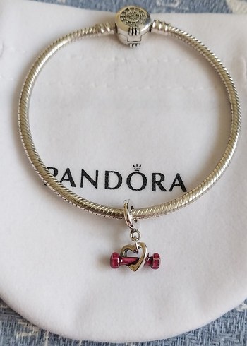 DAMBIL VE KALP SALLANTILI CHARM - Görsel 4