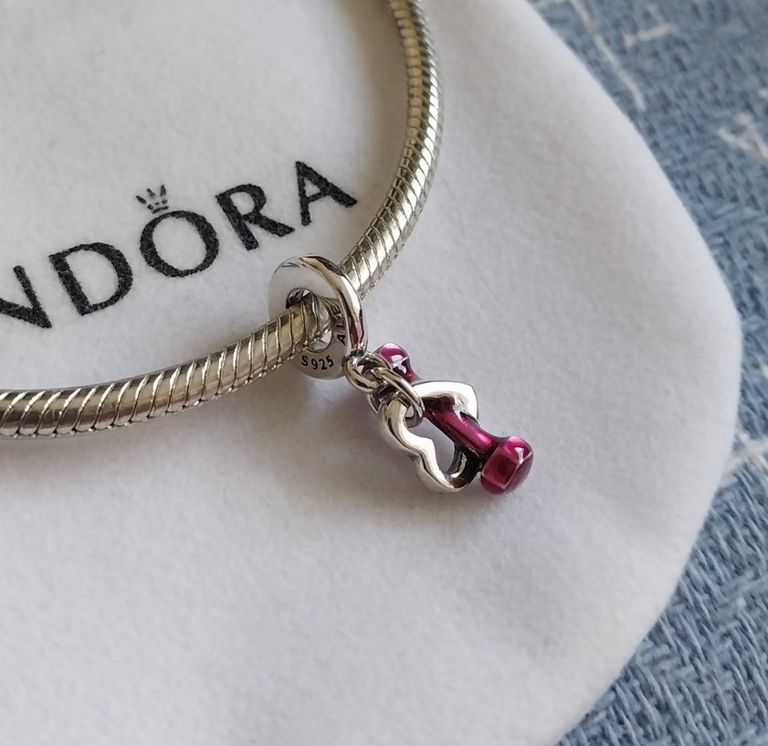 DAMBIL VE KALP SALLANTILI CHARM - Görsel 3