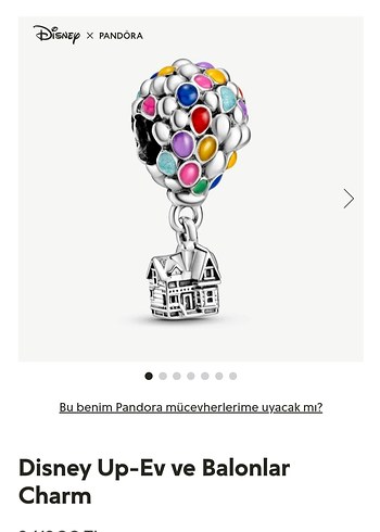 Disney Up-Ev ve Balonlar Charm