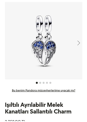 IŞILTILI AYRILABİLİR MELEK KANATLARI CHARM