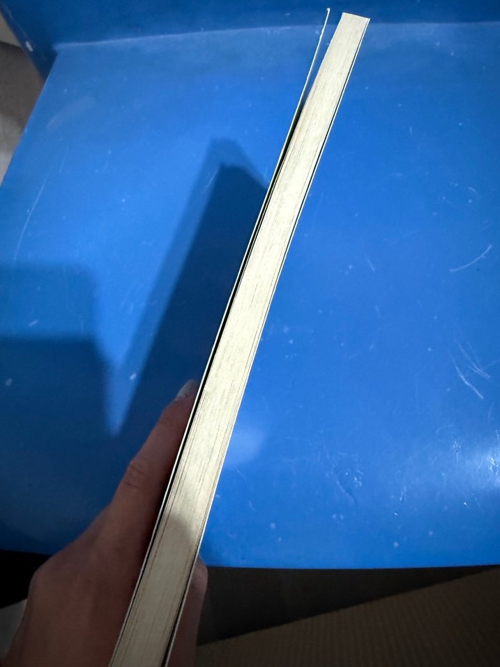 İlkçağlardan Günümüze İktisat ve Siyaset Kitabı - Görsel 2