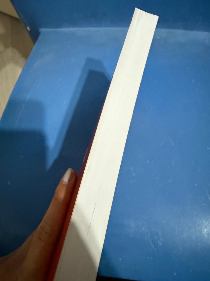 Türkiyede yerel yönetimler - Görsel 2